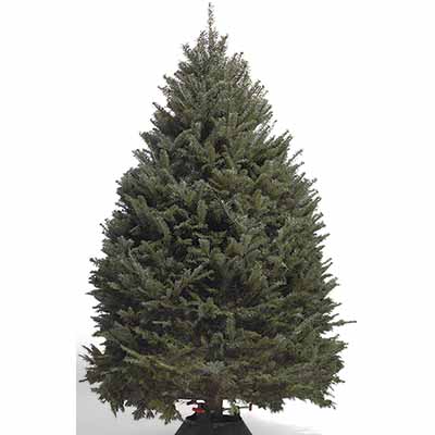 Home Accent Holiday Double 4 ft. Pot Tree Artificial ...