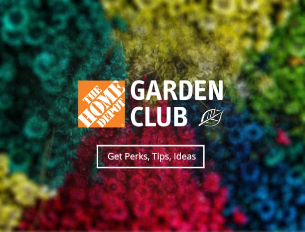 Lowes Vs Home Depot For Plants And Gardening Cheapism Com